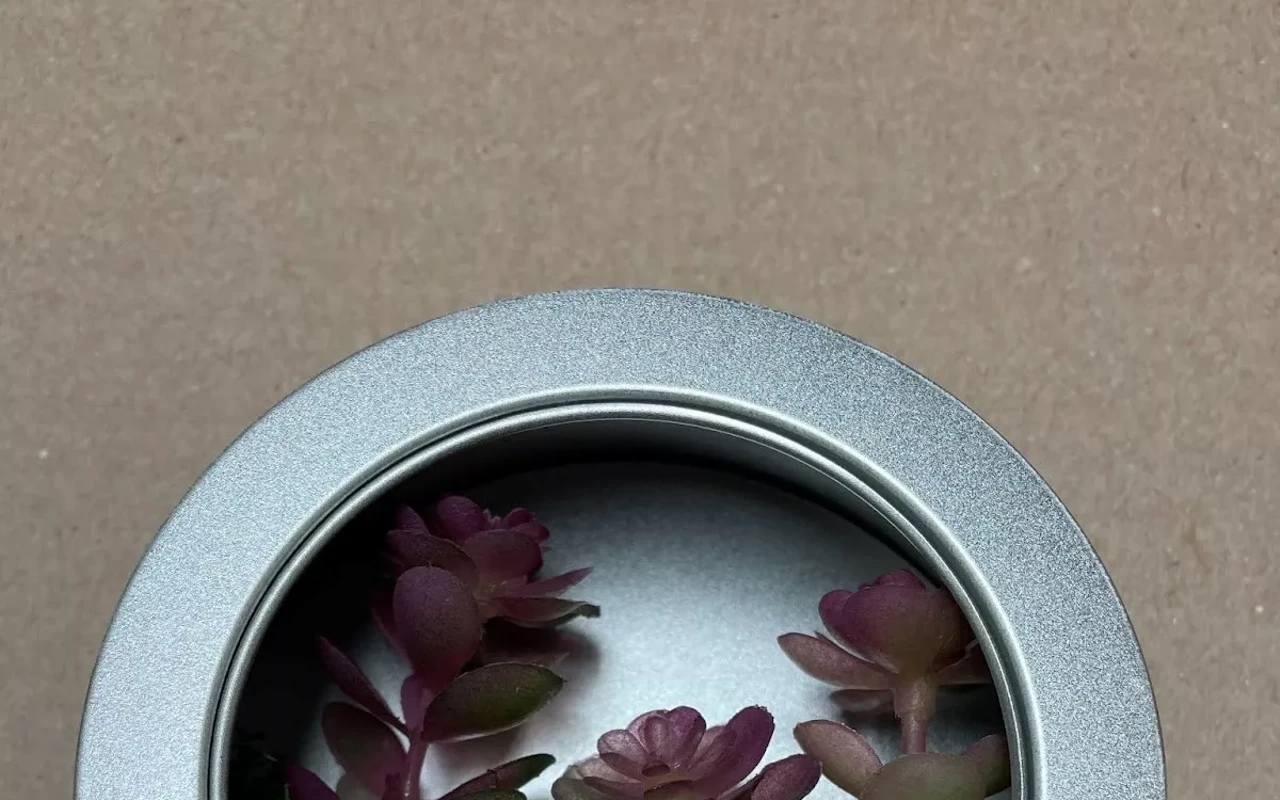 Image: Adult Craft Night: Terrariums