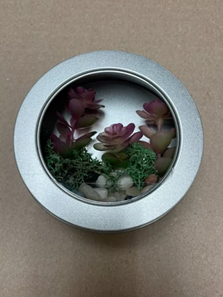 Image: Adult Craft Night: Terrariums