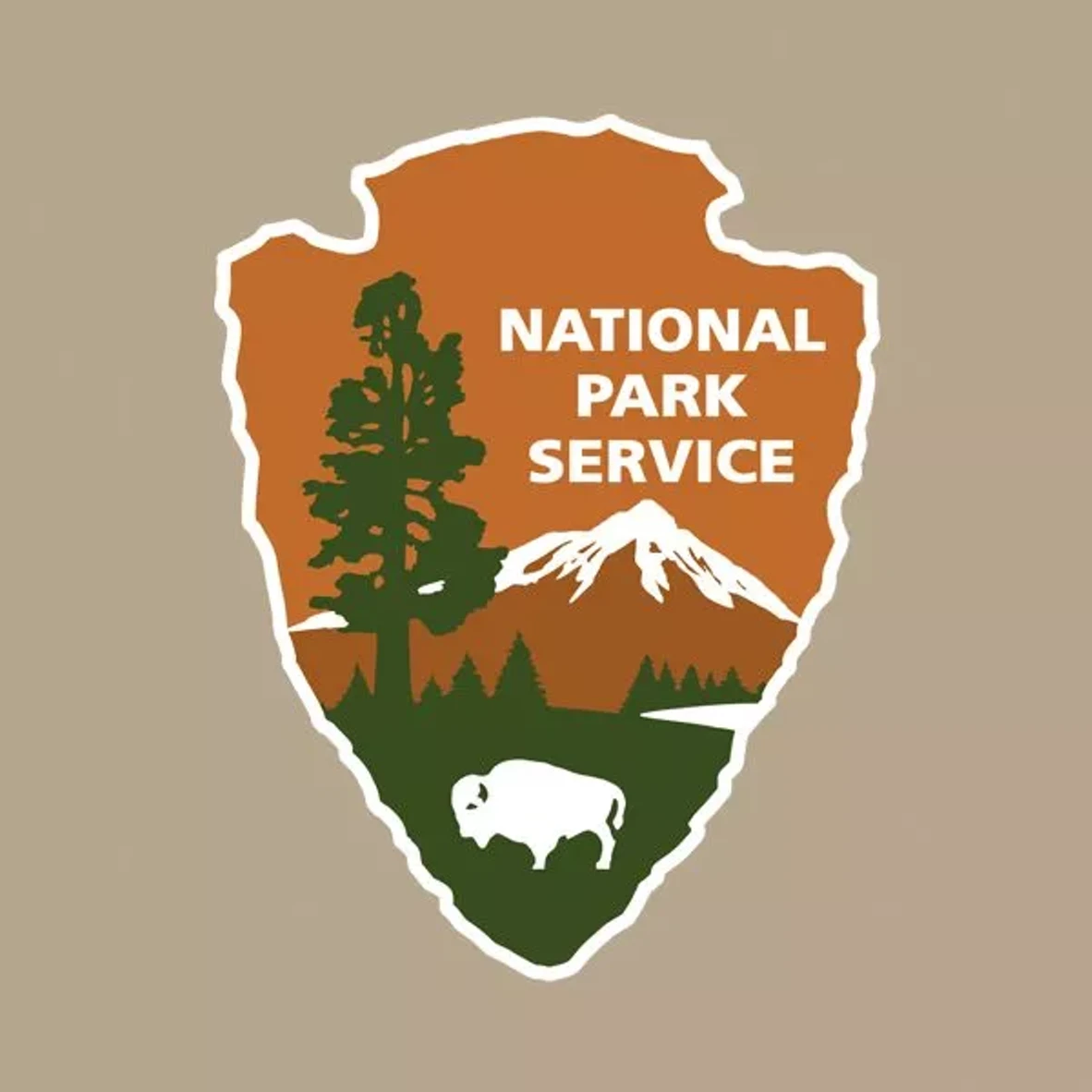 nps.webp