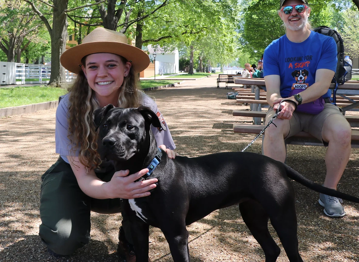 bark_ranger.webp