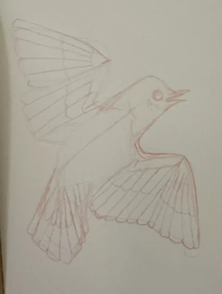 Image: Bird Drawing for Kids