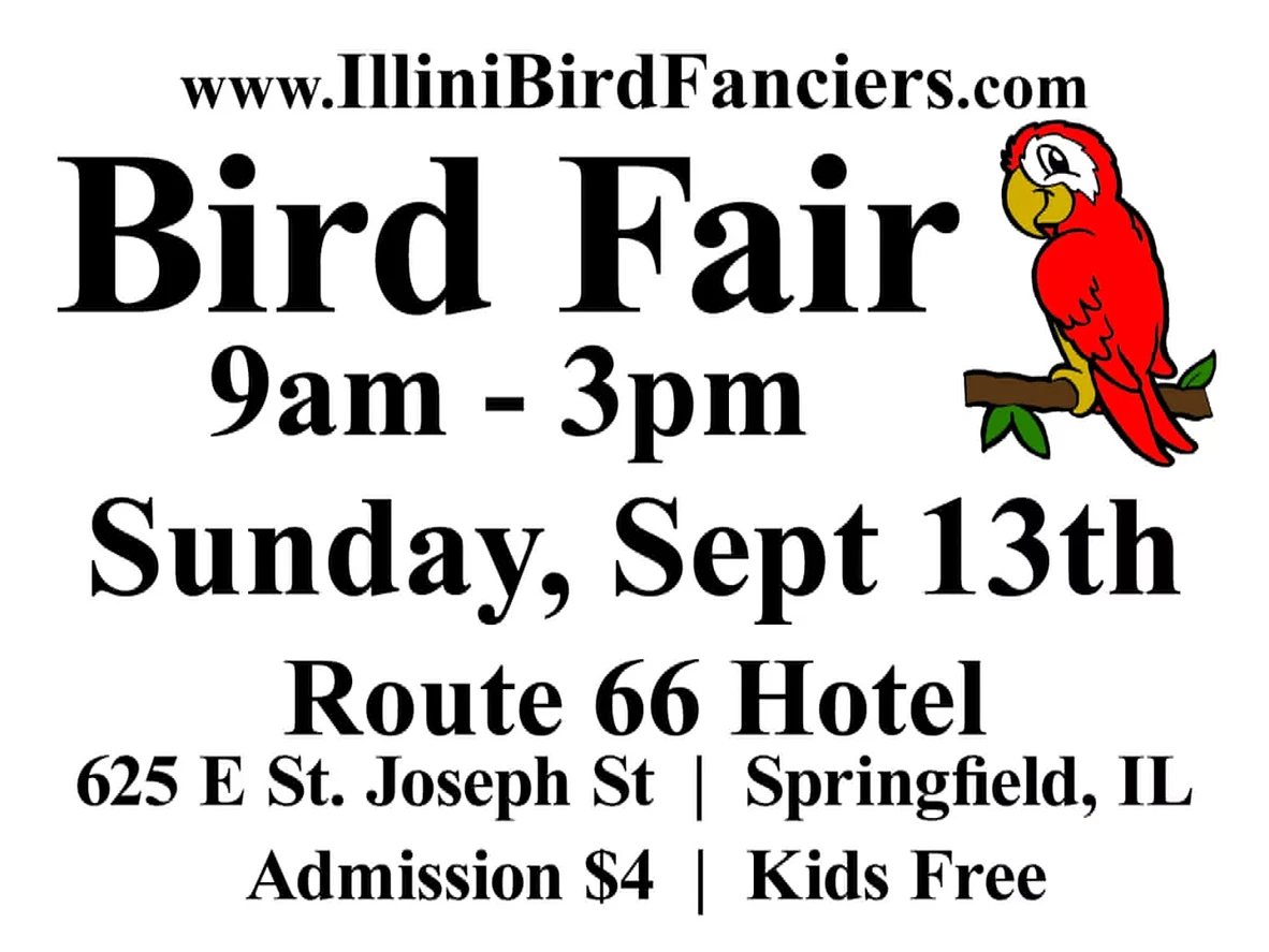 bird_fair_sept._13.webp