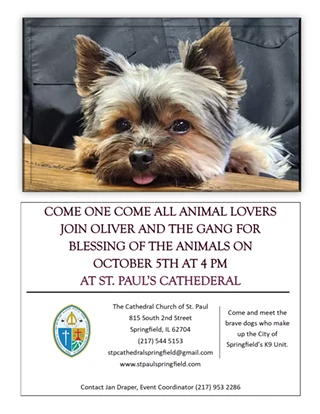 Image: Blessing of the Animals