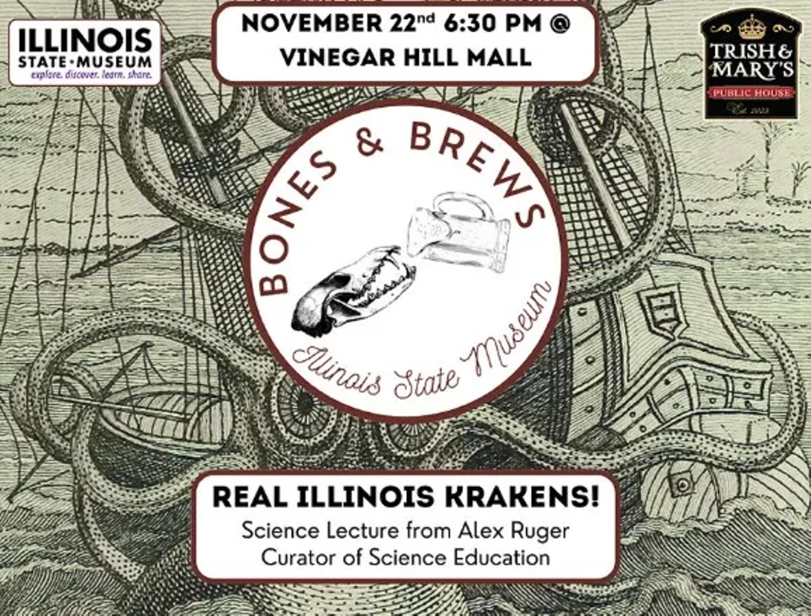 real_illinois_krakens.webp