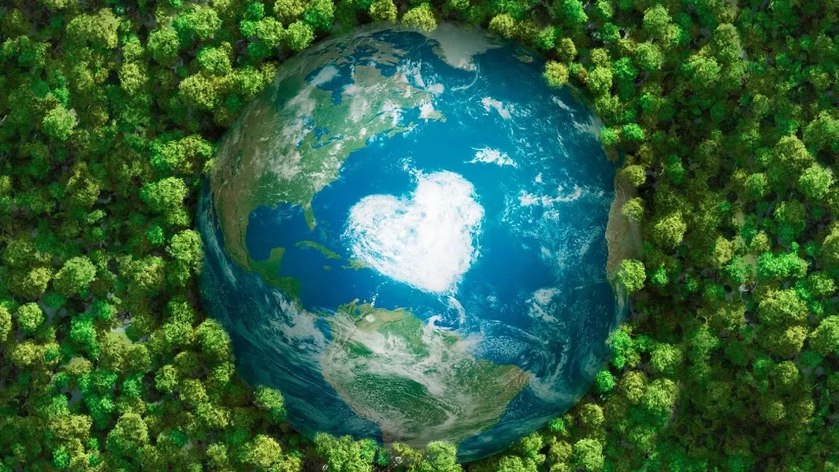 Edited picture of the earth laying on trees