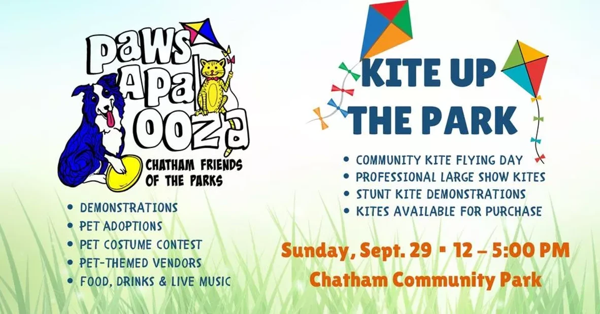 kites.webp