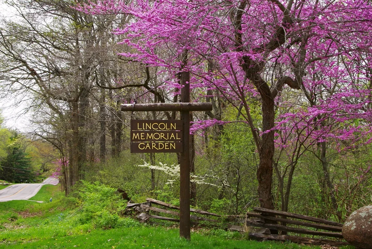 spring_garden.webp