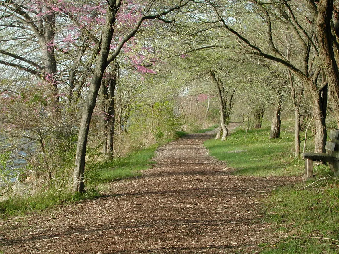 lake_trail.webp