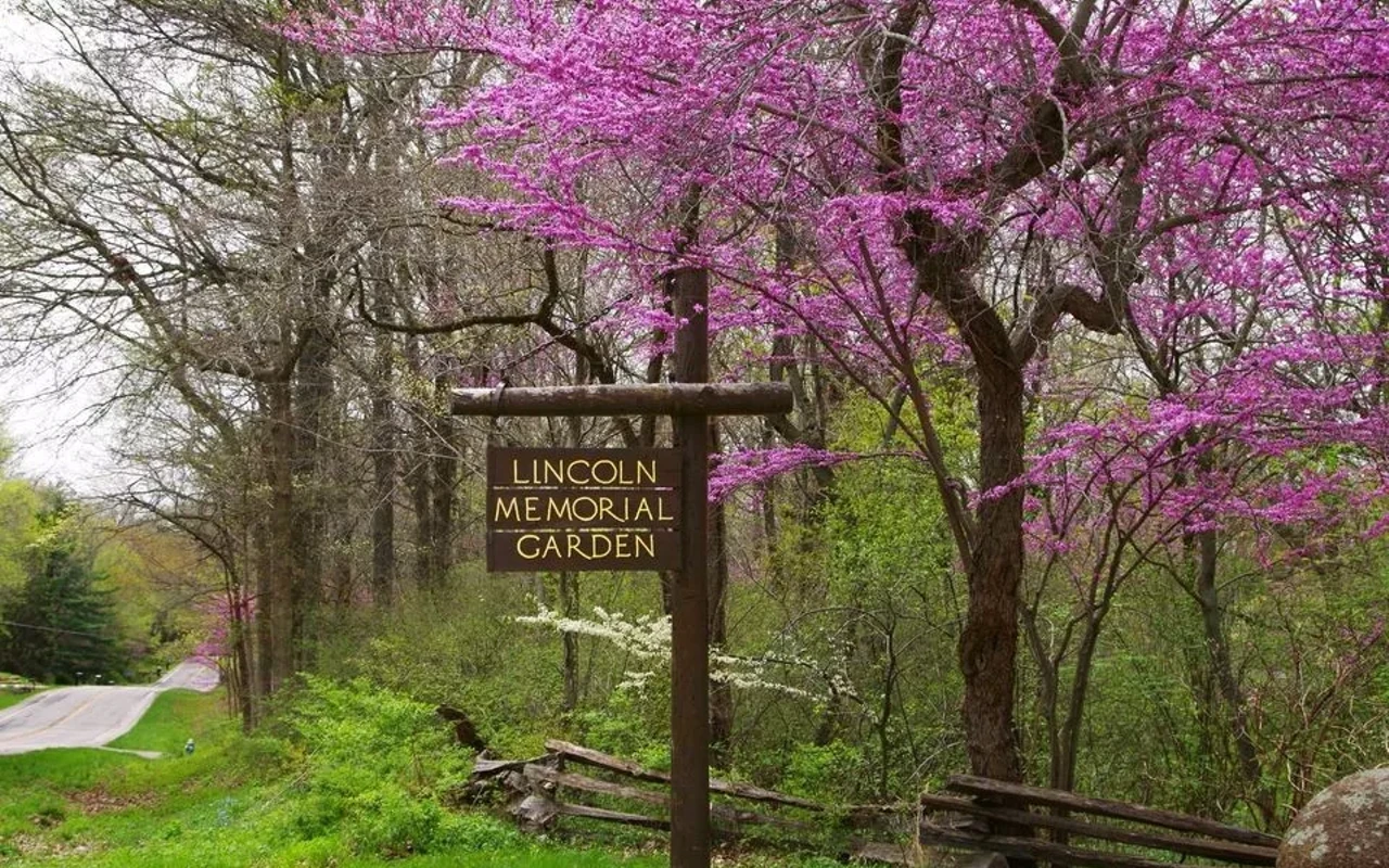 Image: Forest Therapy