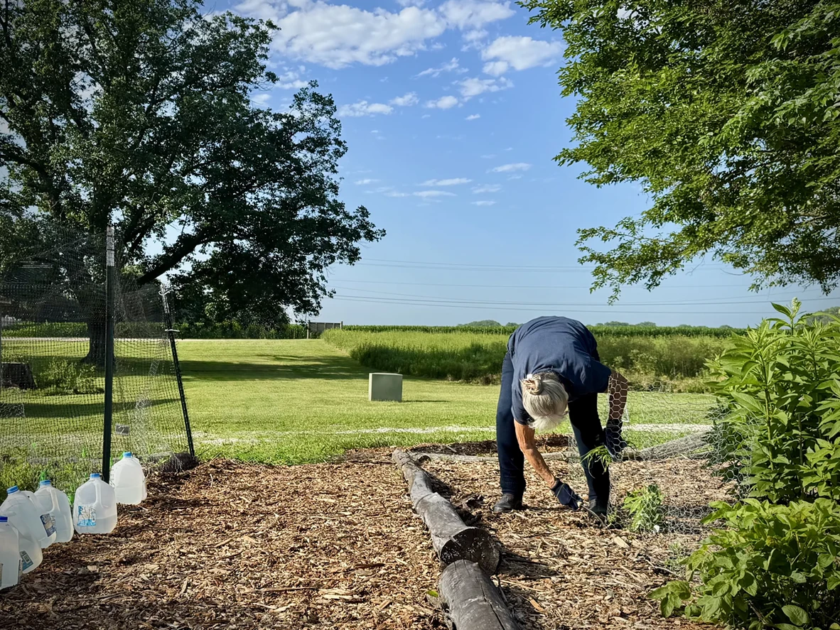 Illinois Extension Ostermeier Garden