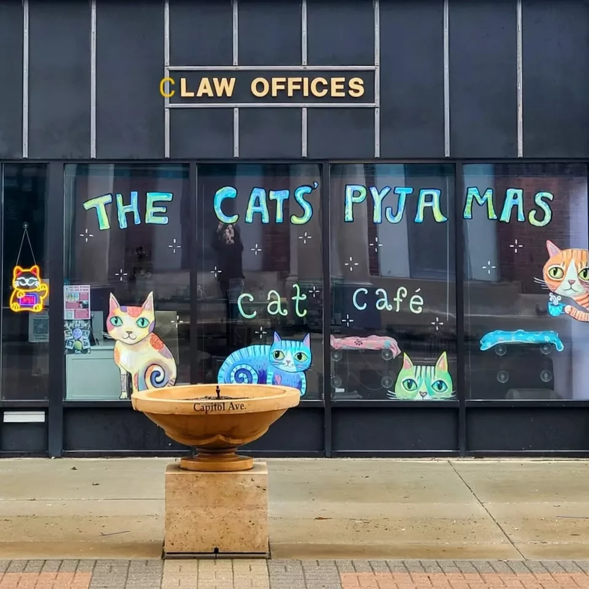 cat_cafe.webp