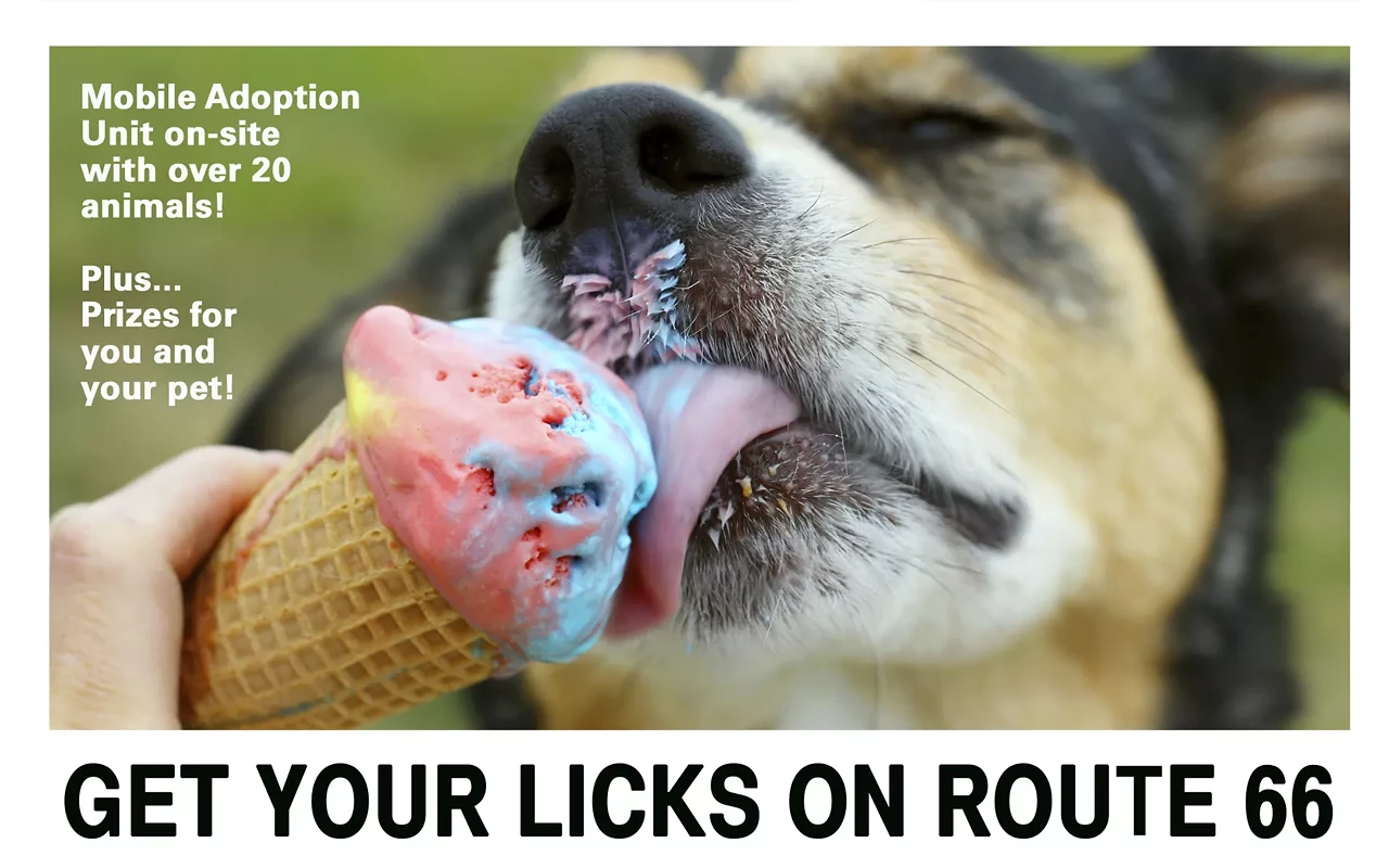 Image: Get Your Licks on Route 66