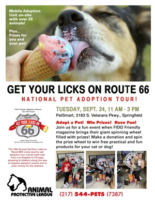 Image: Get Your Licks on Route 66