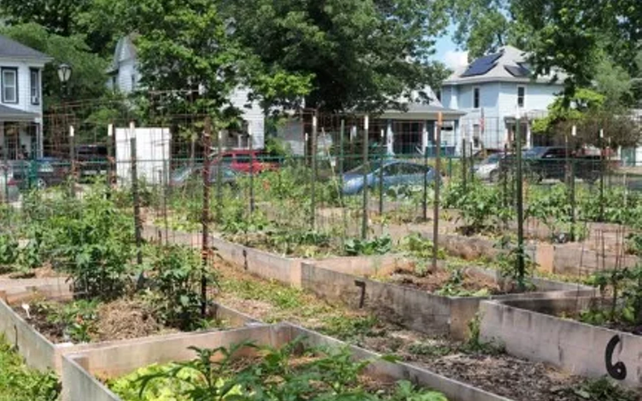Image: Interested in Starting a Community Garden?