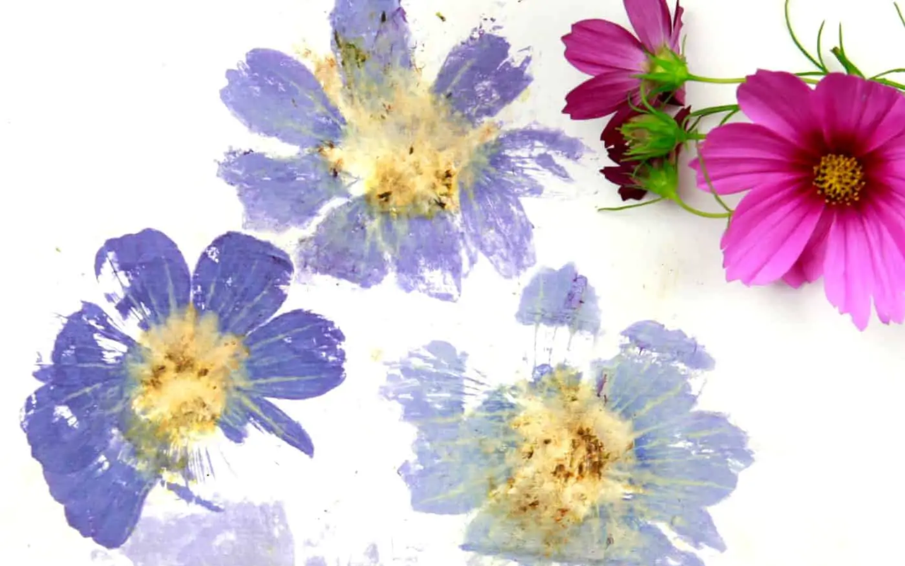 Image: Let's Get Crafty: Hammered Flower Print