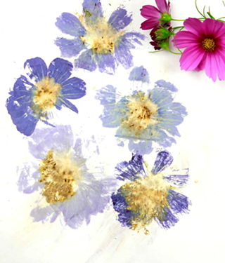 Image: Let's Get Crafty: Hammered Flower Print