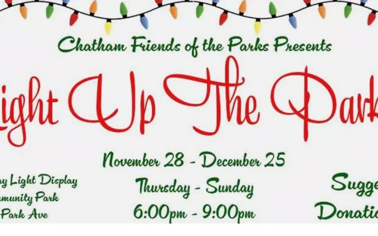 Image: Light Up The Park