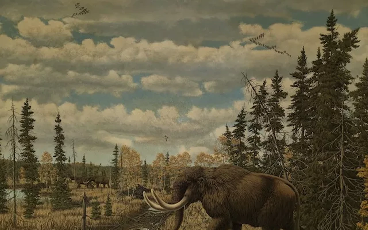 Image: Mammals of Illinois' Ice Age