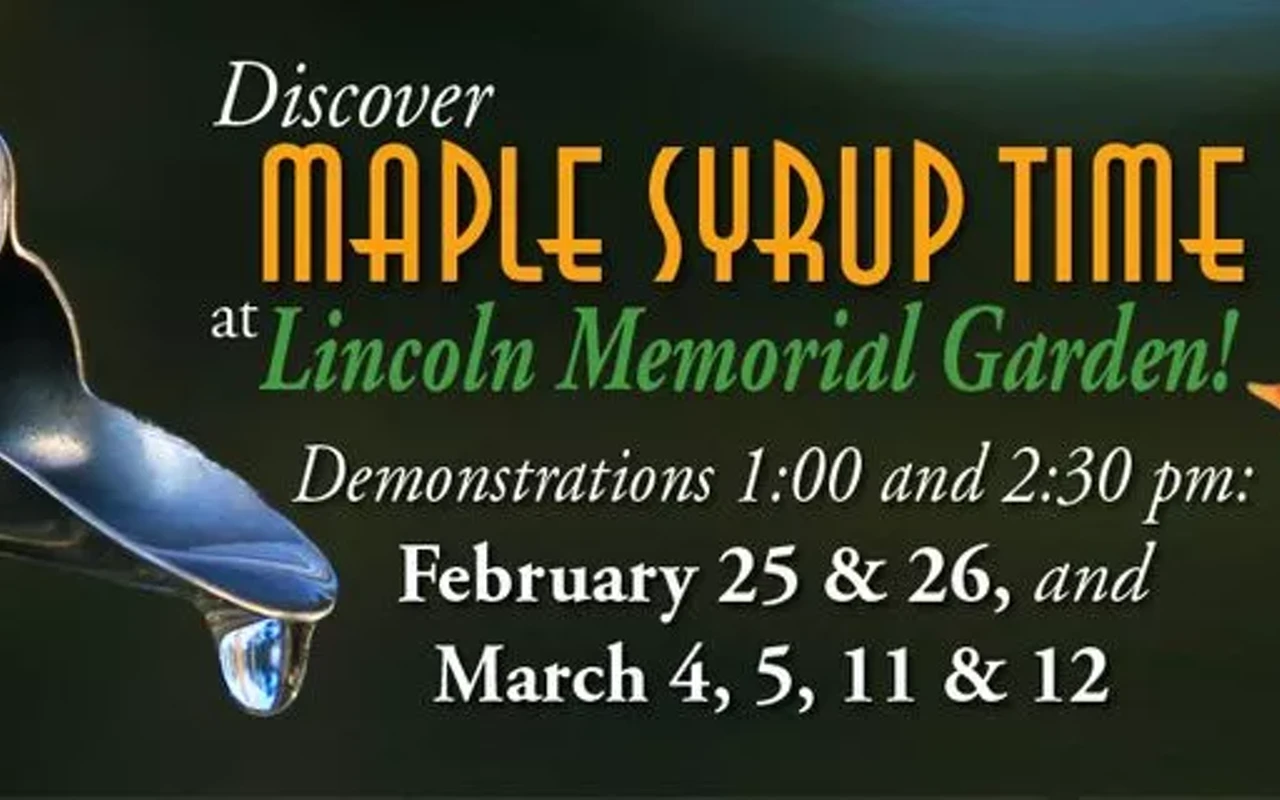 Image: Maple syrup time