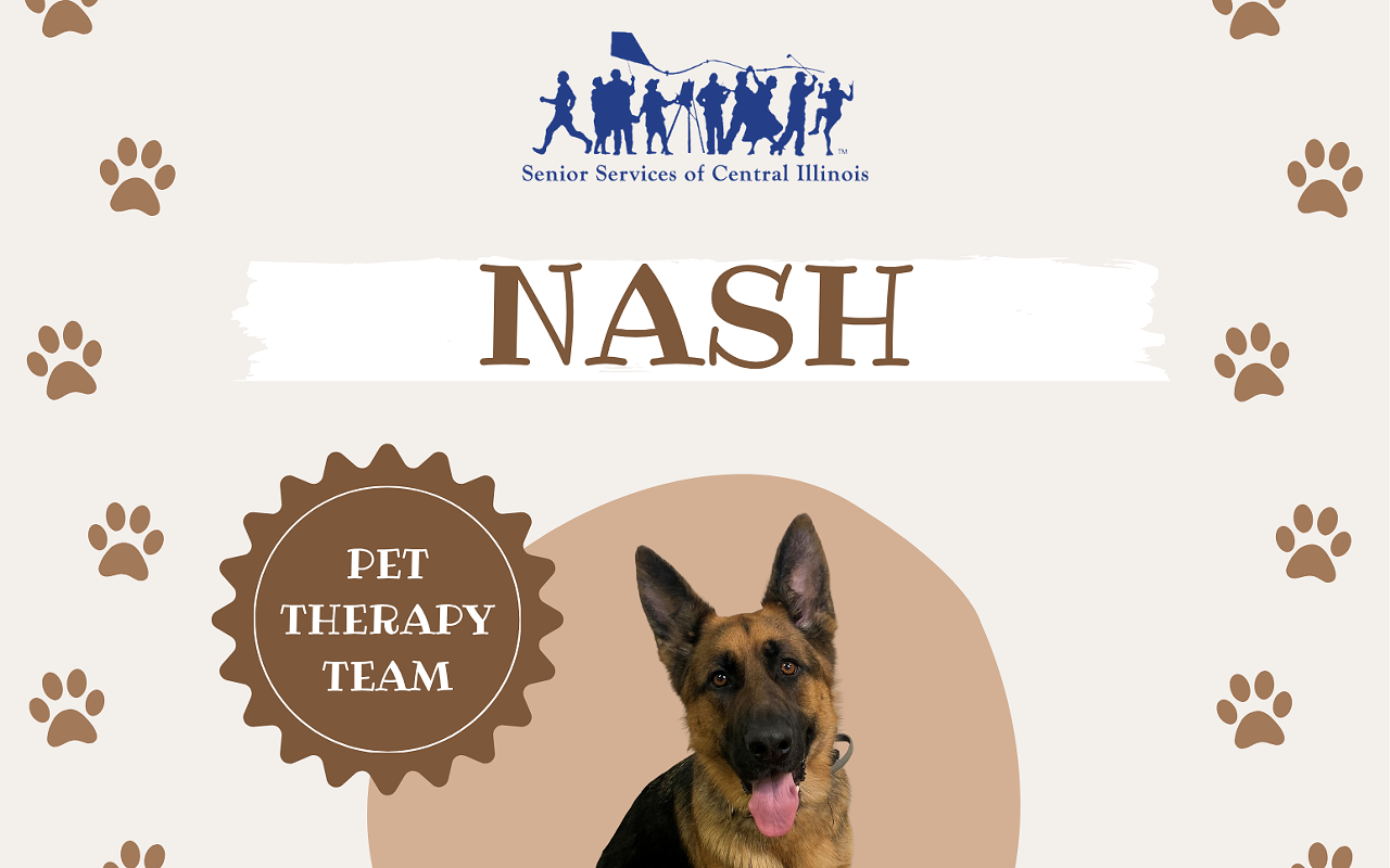 Image: Nash, Pet Therapy