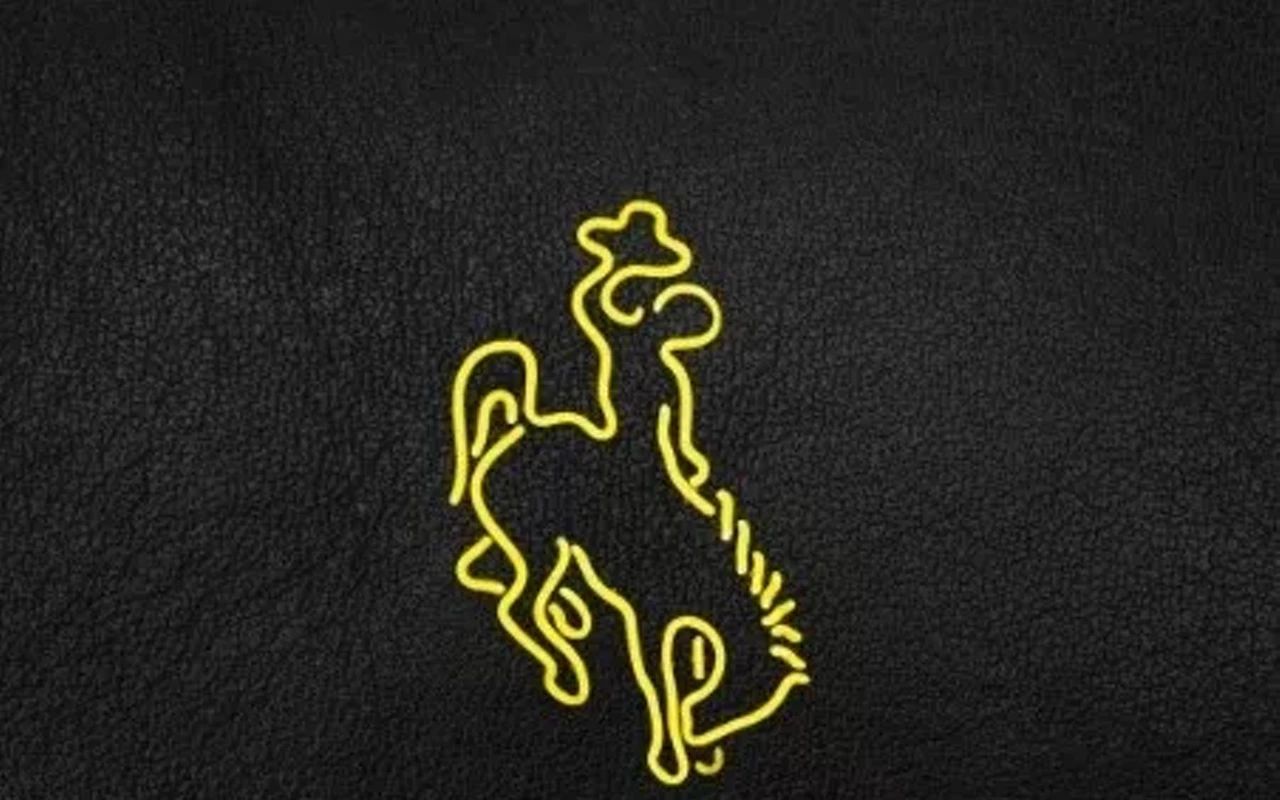 Image: Neon Rodeo