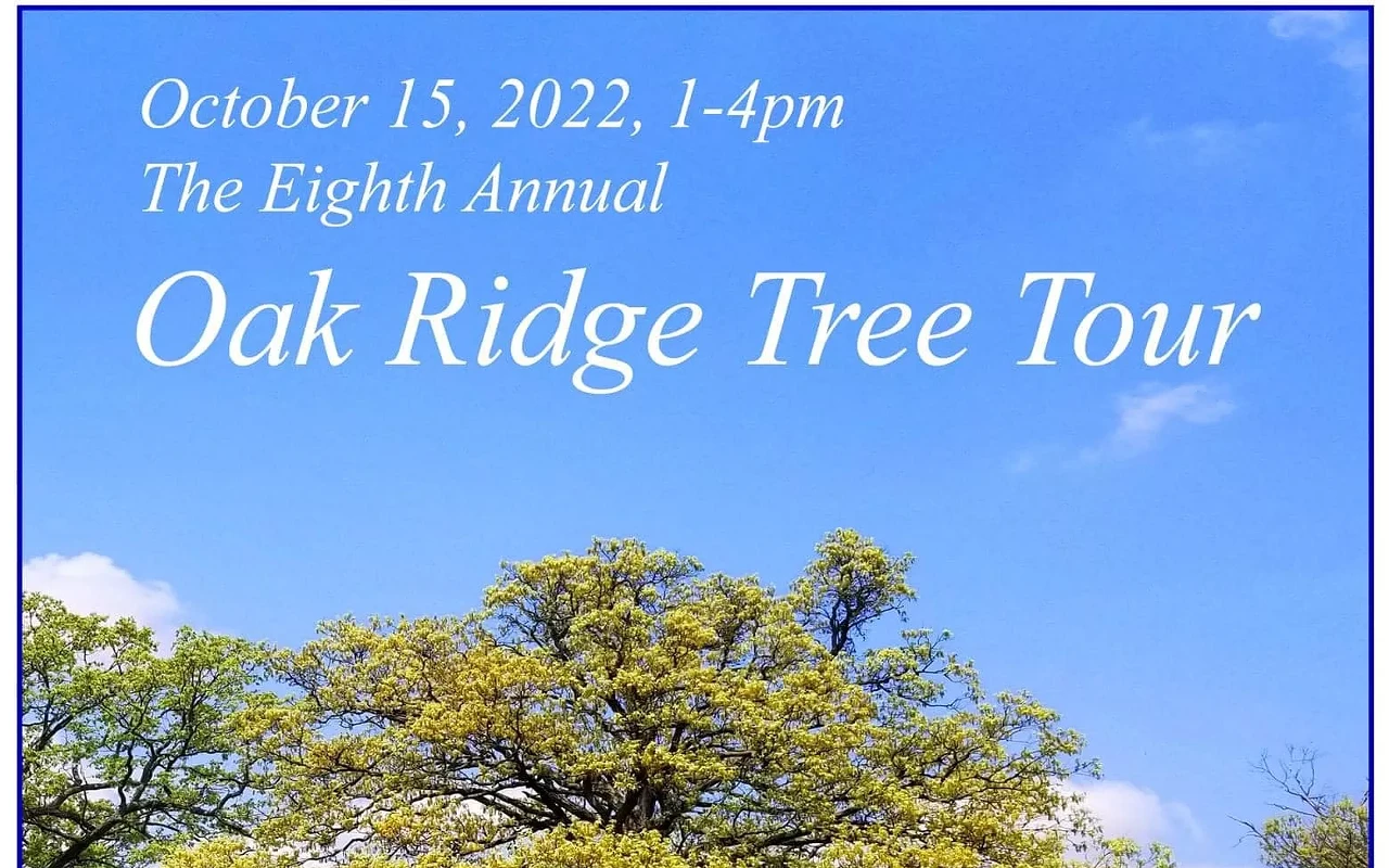 Image: Oak Ridge Tree Tour