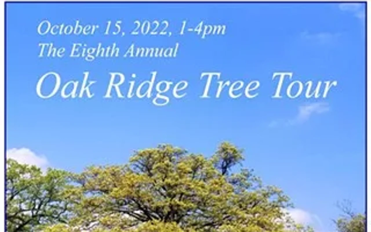 Image: Oak Ridge Tree Tour