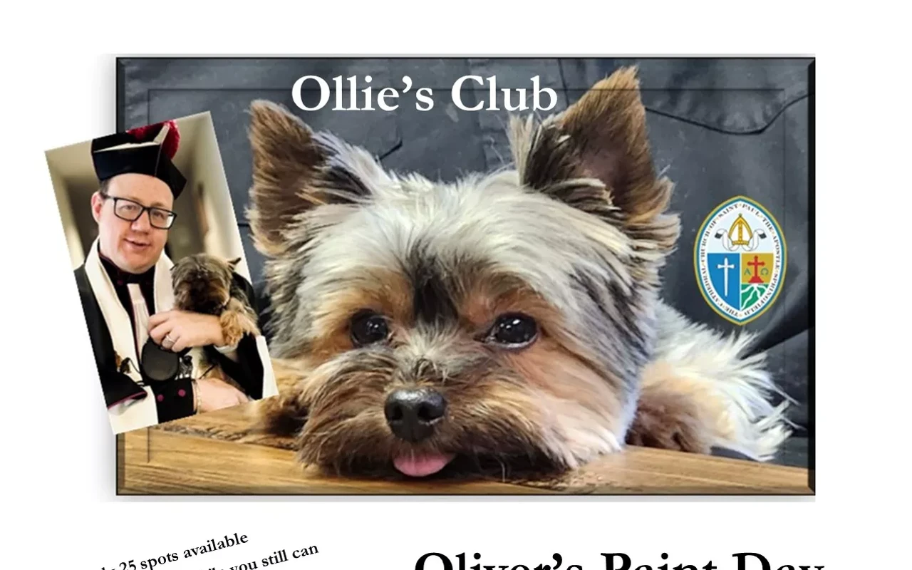 Image: Ollie's Paint Day