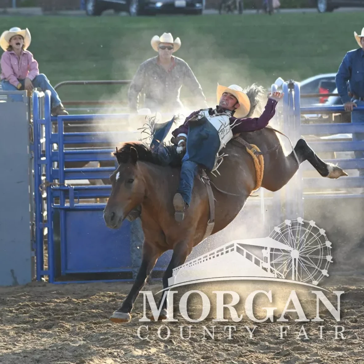 moco_rodeo.webp