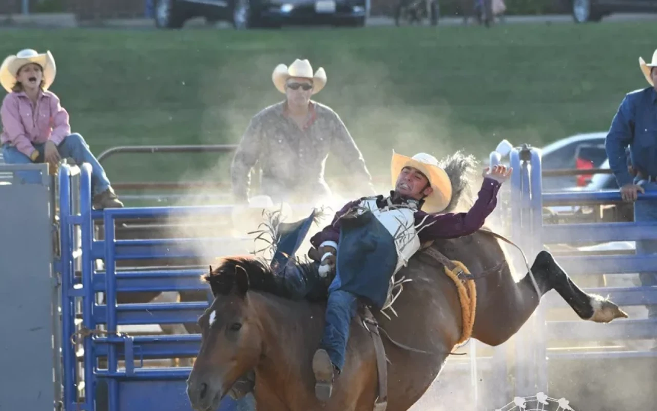 Image: Rodeo Night