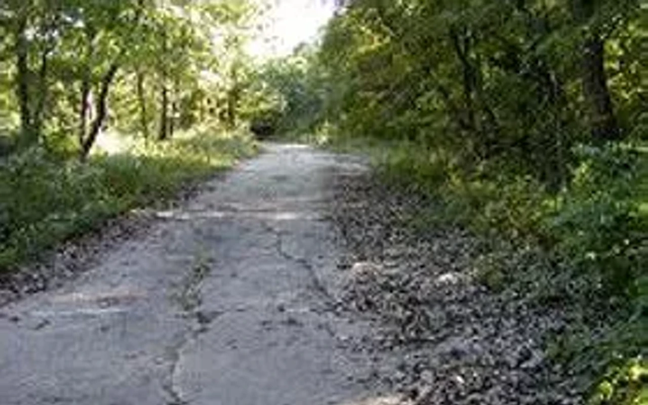 Image: Route 66/Carpenter Park Program