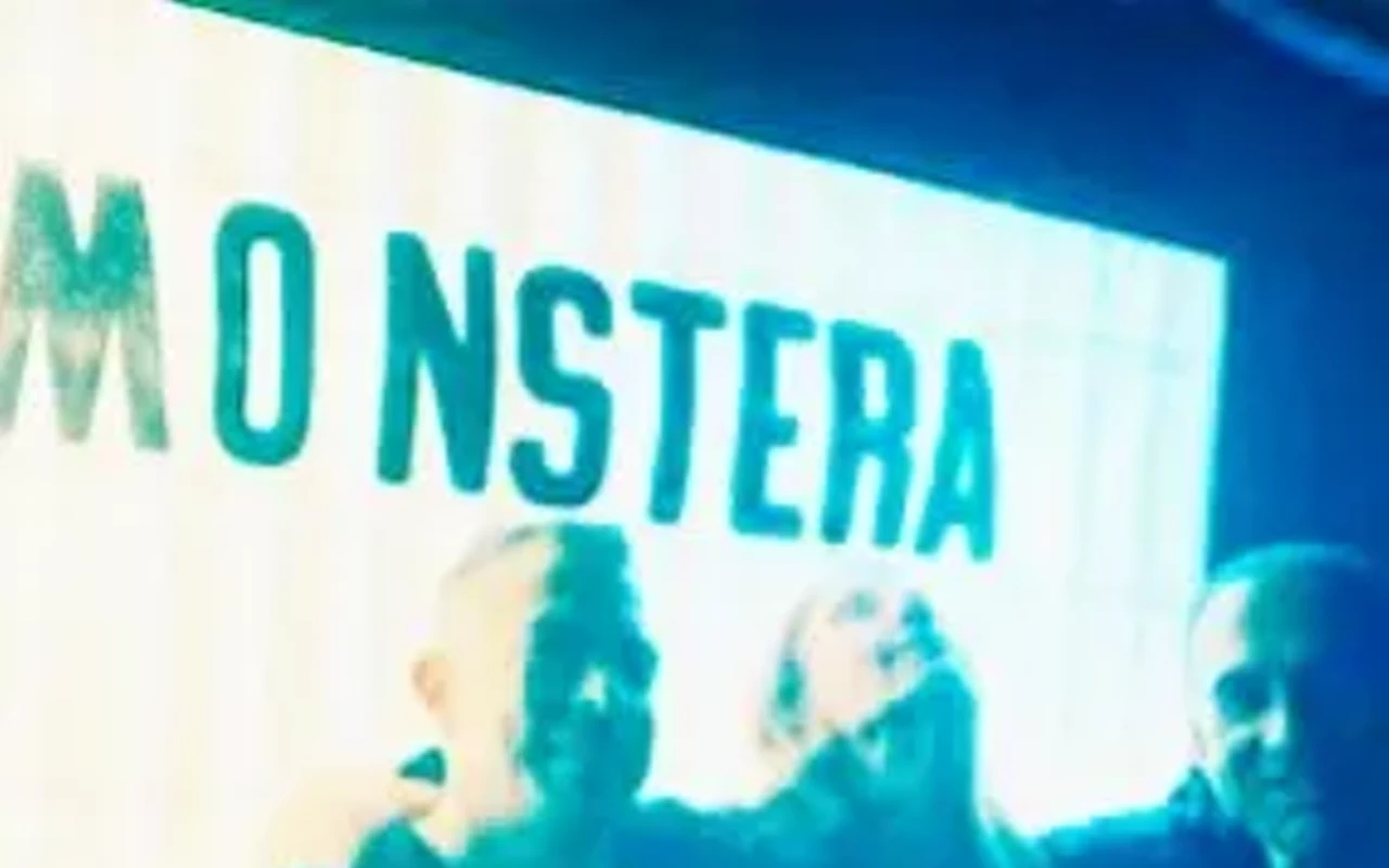 Image: SERA MONSTERA