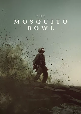 Image: The Mosquito Bowl
