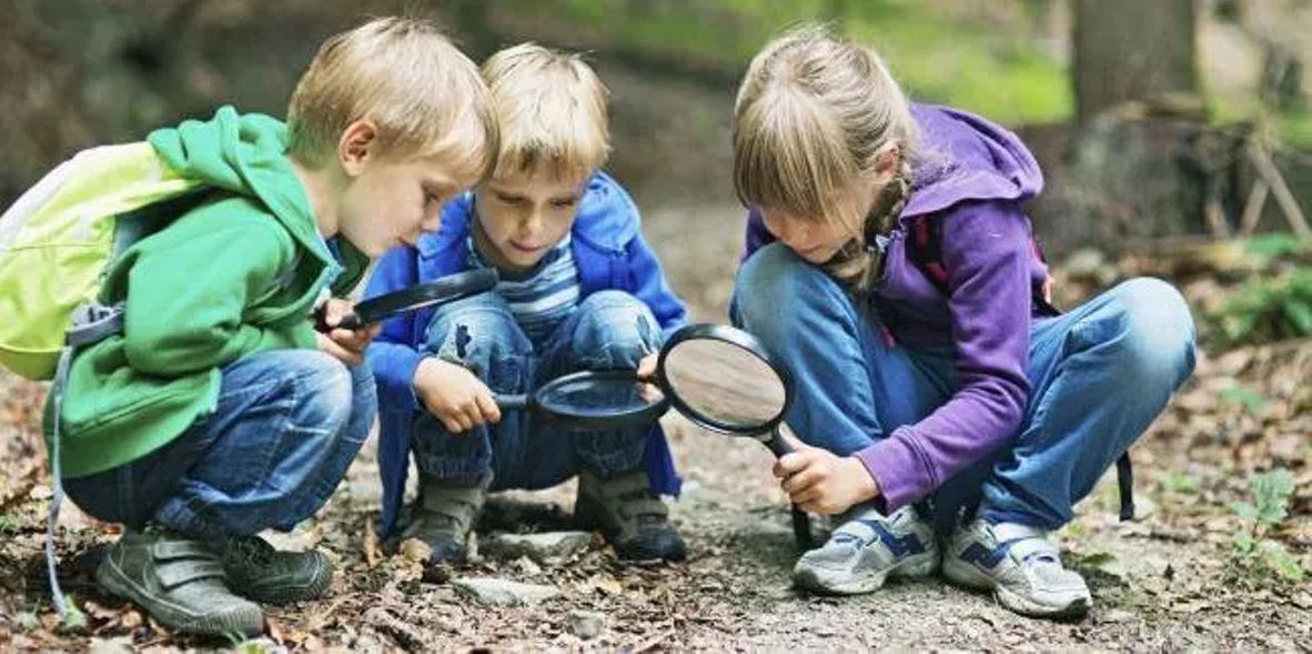 tiny-adventurers.webp