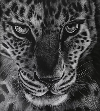 Image: Underground presents Animalia