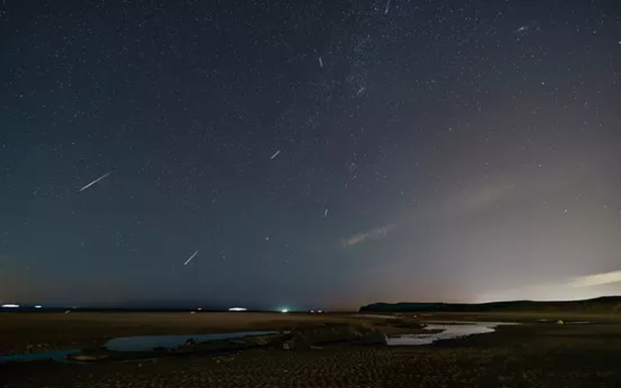 Image: Viewing party for the Perseid meteor shower