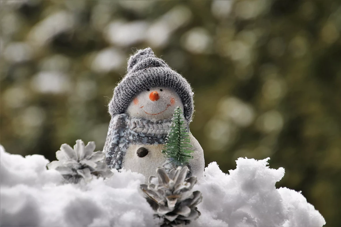 snowman-3878822.webp