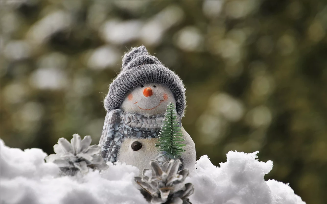 Image: Winter Break Fest: STEAMy WInter